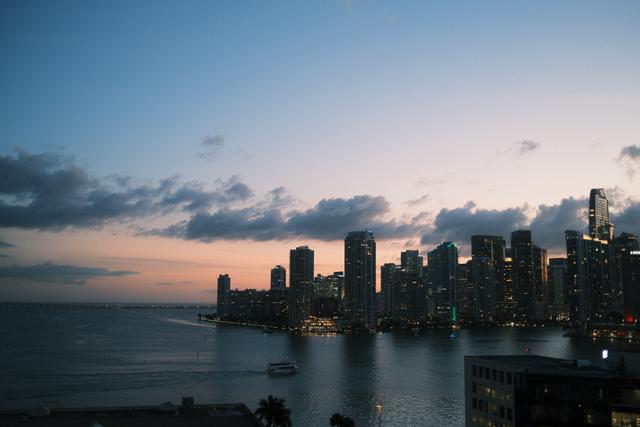 Miami Skyline 